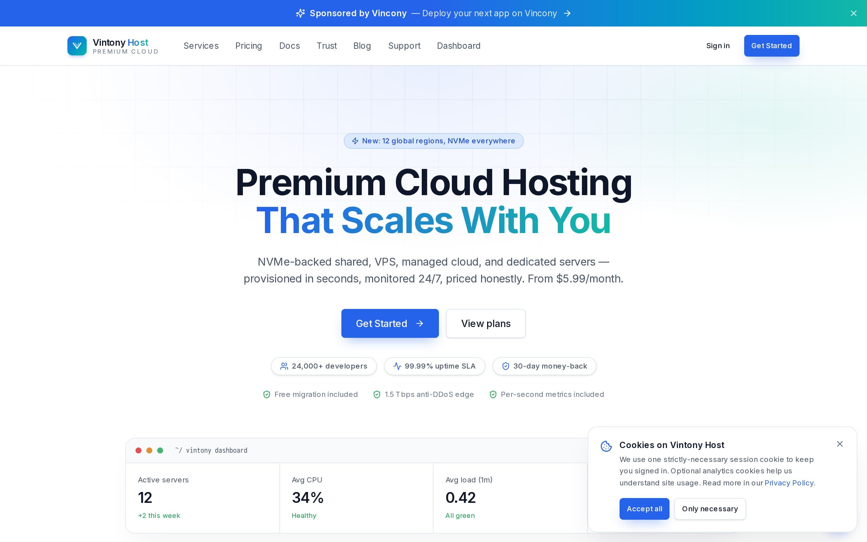 The VintonyHost homepage